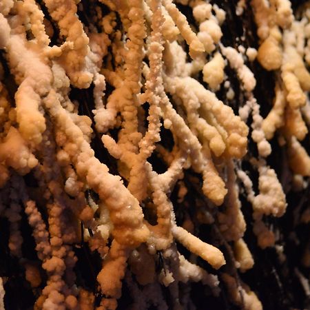 Centrum Restauracyjno-Hotelowe Florres Pawłowiczki Exteriér fotografie